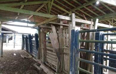 Imagem 12: Fazenda à venda, 900000 m² por R$ 4.000.000,00 - Parada Modelo - Guapimirim/RJ