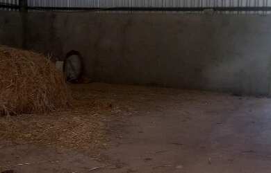 Imagem 9: Fazenda buritis MG proximo a cidade escriturada formada muita água