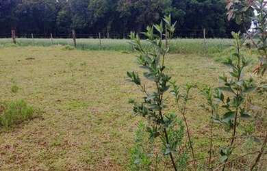 Imagem: O terreno possui 600m² de Área e está localizado em Santa