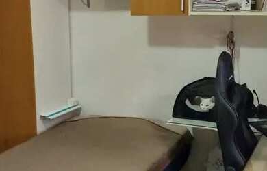 Imagem 6: Vendo linda casa em Bicanga