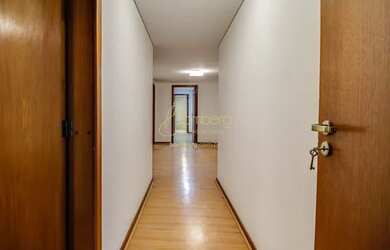 Imagem 11: Alto da Boa Vista / Santa Elena