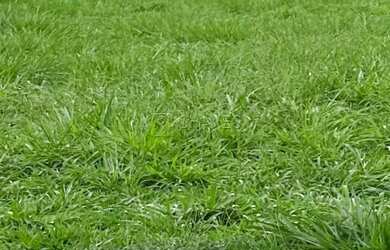 Imagem: O terreno possui 278m² de Área e está localizado em Reserva