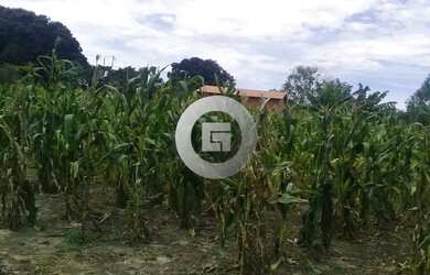 Imagem: A fazenda possui 90m² de Área, Imóvel novo e está localizado