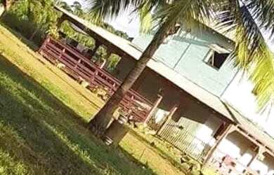 Imagem: A fazenda possui 2.000m² de Área, Imóvel novo, Churrasqueira