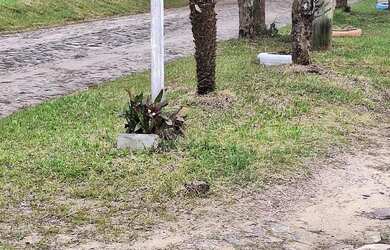 Imagem: O terreno possui 325m² de Área e está localizado em Parque