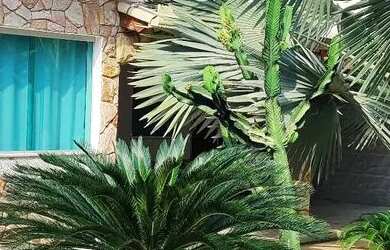 Imagem: A casa possui 3 Dormitórios, 4 Banheiros, 5 Vagas na garagem