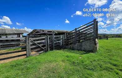Imagem 14: Bela fazenda montada para pecuaria no Vale do Araguaia - Araguapaz - GO