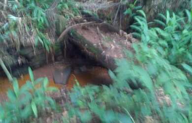 Imagem 7: Vc quer fazer plantio tenho um linda fazendinha de 20 mil m² com muita...