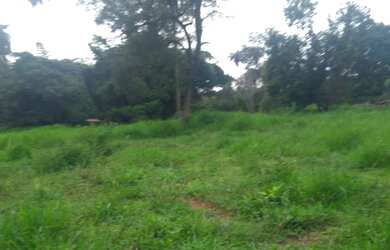 Imagem 5: Vc quer fazer plantio tenho um linda fazendinha de 20 mil m² com muita...