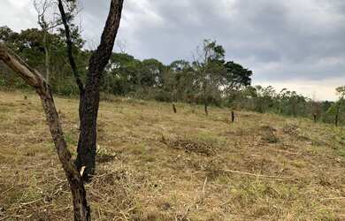 Imagem 6: Lote/Terreno para venda possui 600 metros quadrados