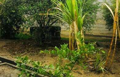 Imagem 8: Galpão em Betim, Oportunidade