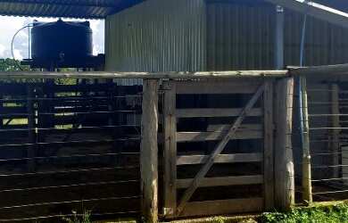 Imagem 10: Fazenda buritis MG proximo a cidade escriturada formada muita água