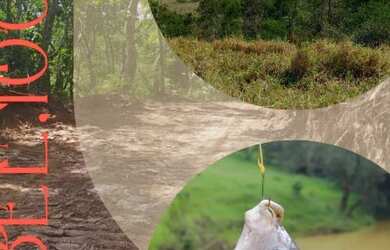 Imagem 1: 1000 metros quadrados em Ouro Fino - Santa Isabel - SP!