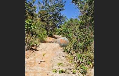Imagem 7: Fazenda com 2 dormitórios à venda, 10510000 m² por R$ 5.000.000,00...