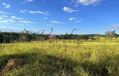Imagem 11: Fazenda à Venda 1160 hectares em Paracatu - MG