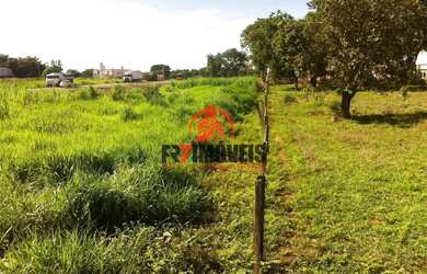 Imagem 7: ÁREA ESTRATÉGICA À VENDA EM PORANGATU - GO 16.000m²