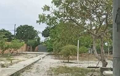 Imagem 3: SITIO DE 3/4 EM AREMBEPE