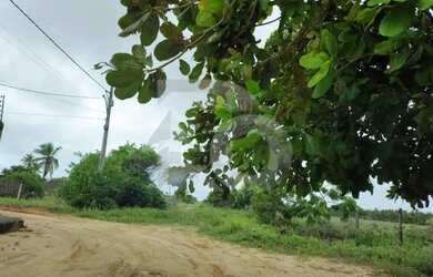 Imagem: O terreno possui 600m² de Área e está localizado em São