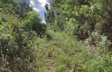 Imagem 5: Sítio / Chácara para Venda em Nova Petrópolis, Stille Eck