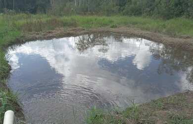 Imagem 14: 1 hectare pisciciultura abandonada 277 mil reais 2 casas