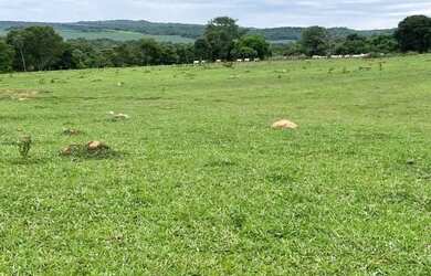 Imagem: O terreno possui 8m² de Área e está localizado em Setor