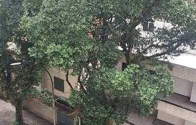 Imagem 12: Laranjeiras 3 quartos - Apartamento para aluguel - 5551