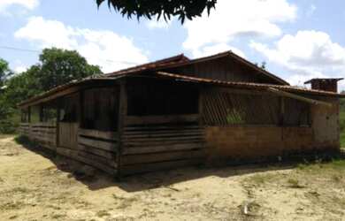 Imagem 10: 62 alqueires no Pará a ,zap R$ 2.500.000,00