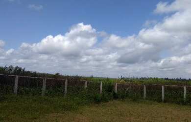 Imagem 9: 62 alqueires no Pará a ,zap R$ 2.500.000,00