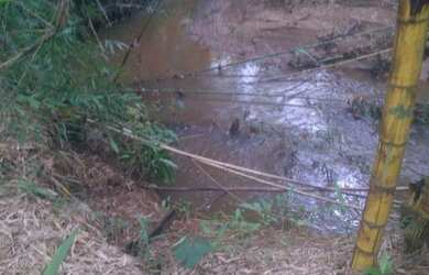 Imagem 11: Vc quer fazer plantio tenho um linda fazendinha de 20 mil m² com muita...