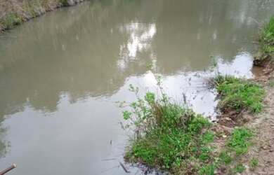 Imagem 7: R- 422 Vendo linda propriedade na Colônia Maciel em Pelotas