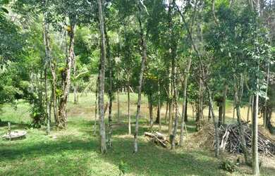 Imagem 6: Chácara em Juquitiba a venda