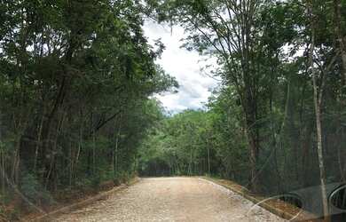 Imagem: O terreno possui 1000m² de Área e está localizado em Jaboticatubas