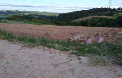 Imagem 8: Lote/Terreno para venda possui 1000 metros quadrados em Veloso - Osasco...