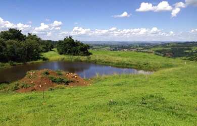 Imagem 5: Extraordinária Fazenda Pecuária no asfalto