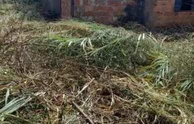 Imagem 2: Lote Jardim vila boa próx ao jardins leia descrição