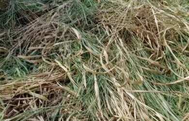 Imagem 5: Lote Jardim vila boa próx ao jardins leia descrição