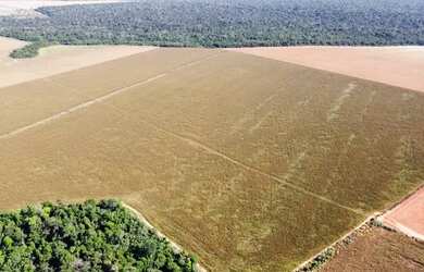 Imagem 3: Fazenda 1200ha - 900ha aberto