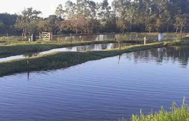 Imagem 2: 120 alqueires paulistas margem do rio aporé - pega 40 permuta