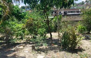 Imagem 4: Excelente terreno muito grande