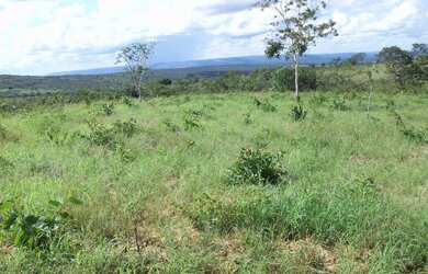 Imagem 9: Fazenda 356,85 ha - Brasilândia de Minas - MG- Estuda Permuta