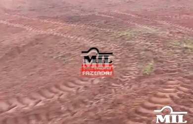 Imagem 2: Fazenda 90 Alqueires 440 Hectares Caiaponia - GO