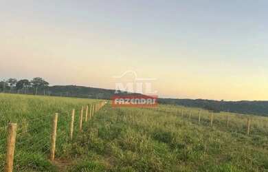 Imagem 6: Fazenda 90 Alqueires 440 Hectares Caiaponia - GO