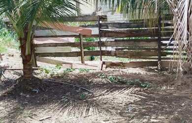 Imagem: O terreno possui Imóvel novo e está localizado em Aleixo