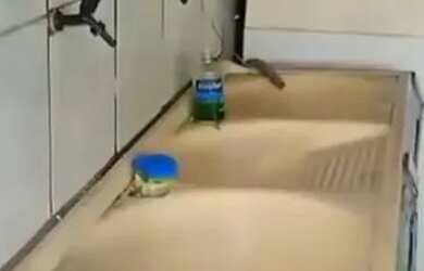 Imagem: A casa possui 2 Dormitórios, 2 Banheiros e 1 Vaga na garagem