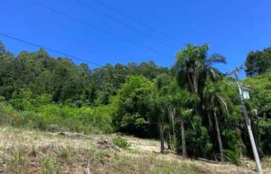 Imagem 13: Sitio - Bairro Linha Ávila