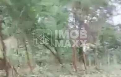 Imagem 6: Lote à Venda no Lago Norte, Brasília 800m² por R$750mil