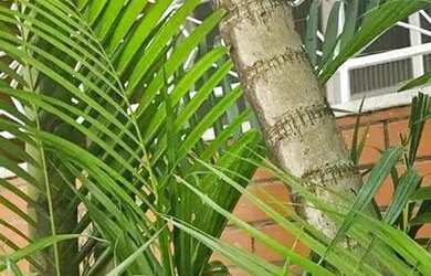 Imagem: A casa possui 2 Dormitórios, 1 Banheiro, 1 Vaga na garagem