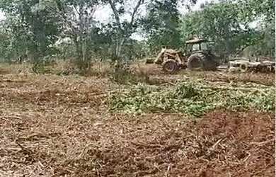 Imagem: A fazenda possui 250m² de Área e está localizado em Nova