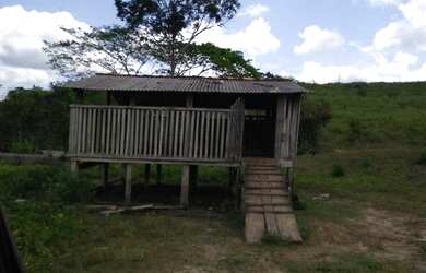 Imagem 14: 62 alqueires no Pará a ,zap R$ 2.500.000,00