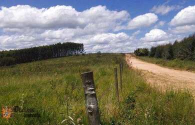 Imagem 3: Sitio a venda em Fernão/SP 12 Hectares para Pastagem, Feno ou Café por...